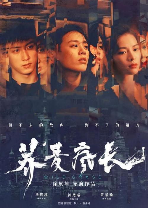 昂热大学社会学文凭证书